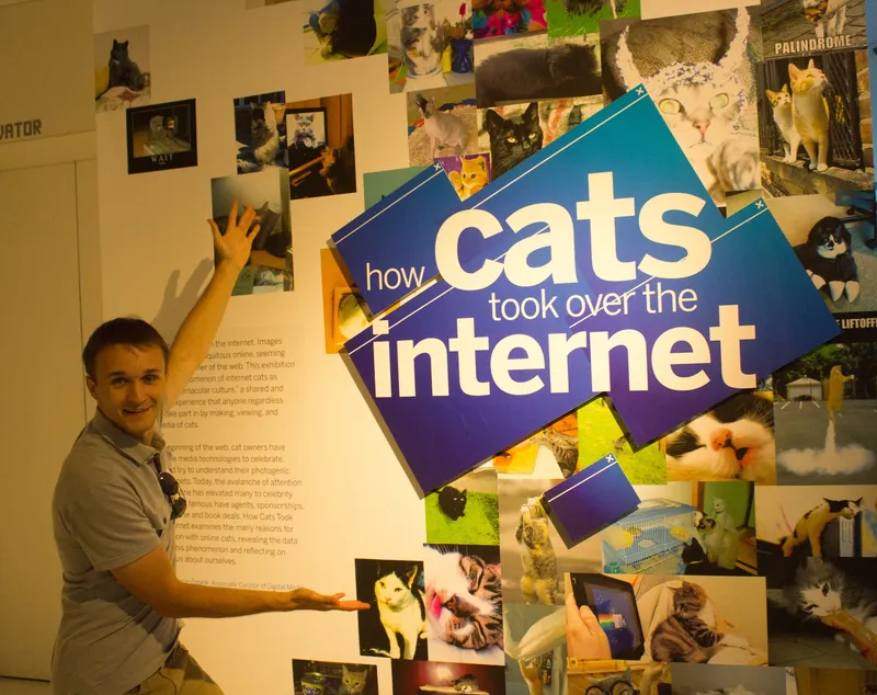 Cats Of The Internet