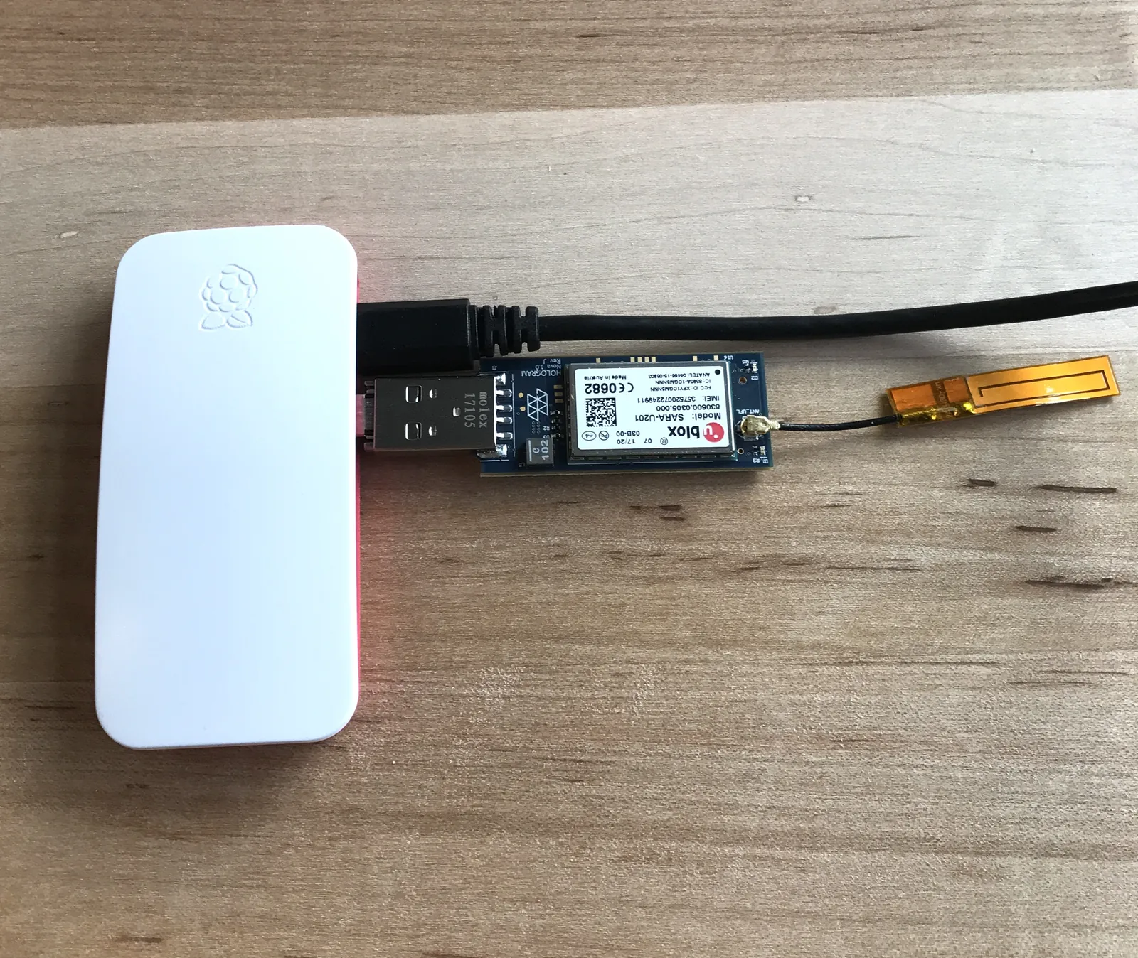 Pi Zero with Hologram Nova